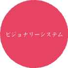 ビジョナリーシステム